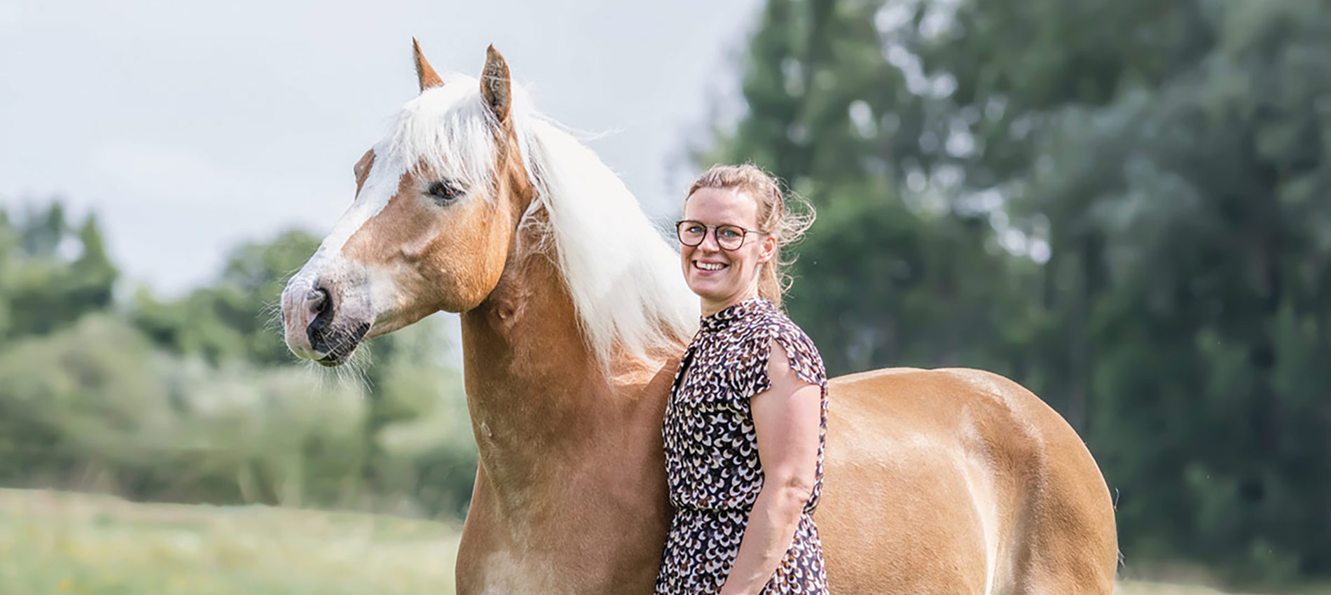 Das Pferd als Persönlichkeitsentwickler