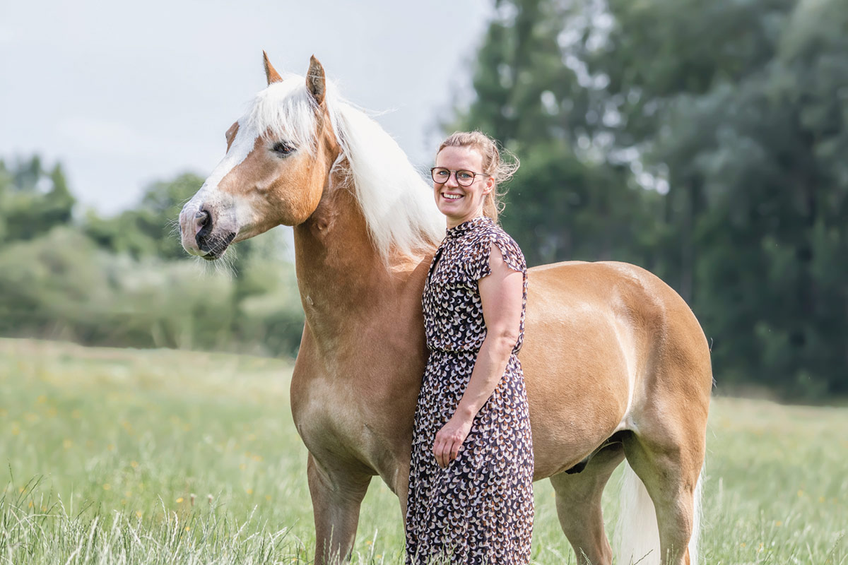 Das Pferd als Persönlichkeitsentwickler